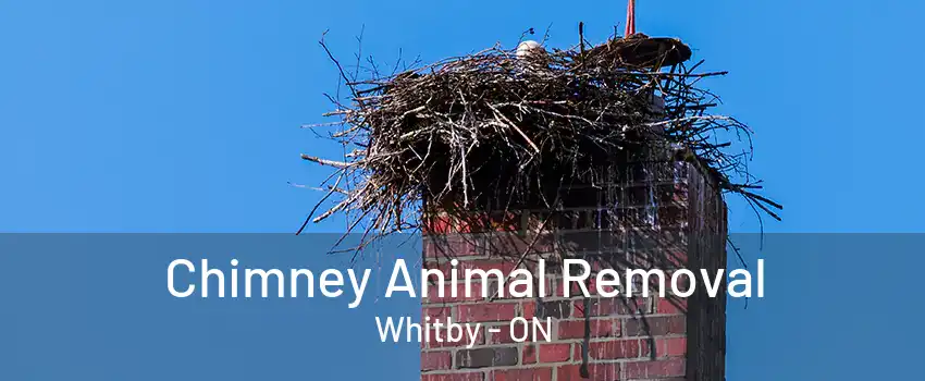 Chimney Animal Removal Whitby - ON