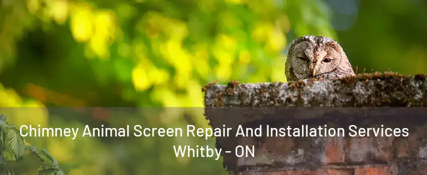 Chimney Animal Screen Repair And Installation Services Whitby - ON