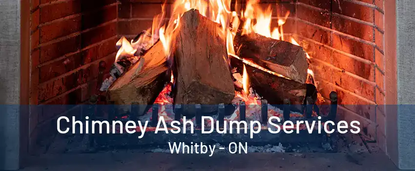 Chimney Ash Dump Services Whitby - ON