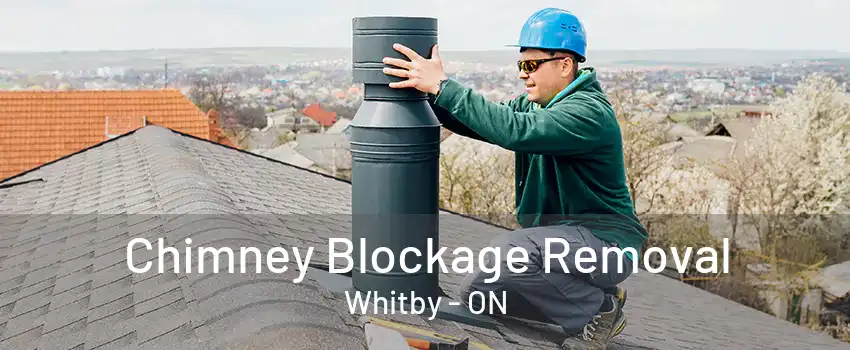 Chimney Blockage Removal Whitby - ON