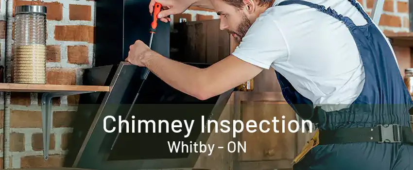 Chimney Inspection Whitby - ON