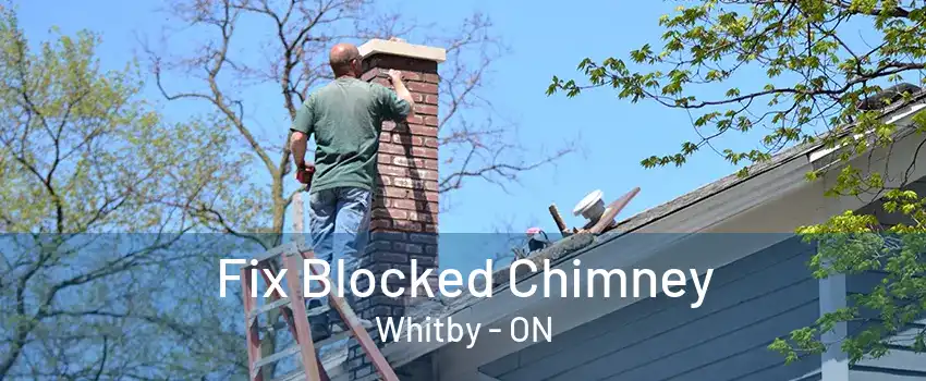 Fix Blocked Chimney Whitby - ON