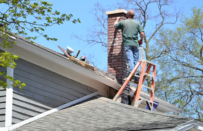 Chimney & Fireplace Inspections Services in Whitby, ON