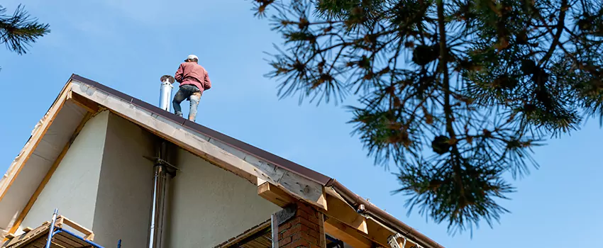 Birds Removal Contractors from Chimney in Whitby, ON