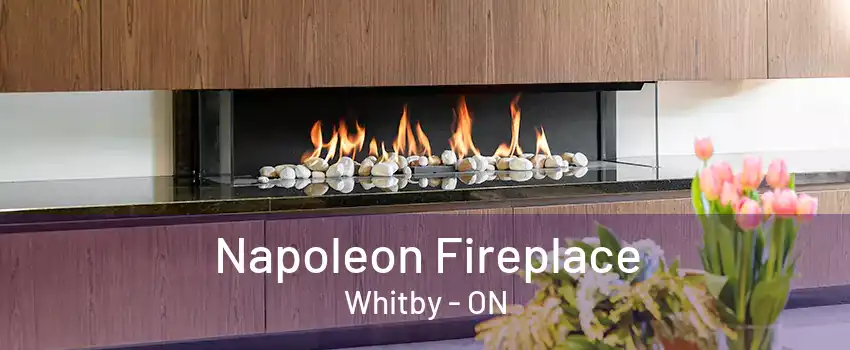 Napoleon Fireplace Whitby - ON